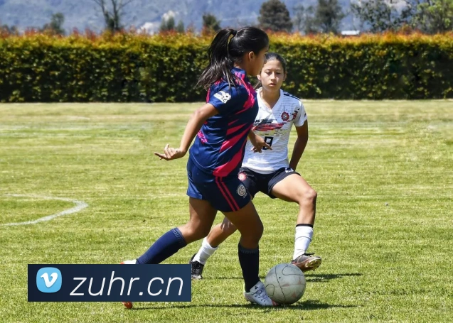 华体官网首页登录入口平台生态图